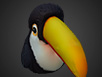 Toucan Cuddle