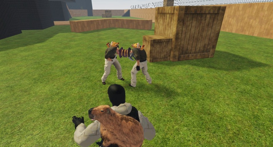 Capture 2452