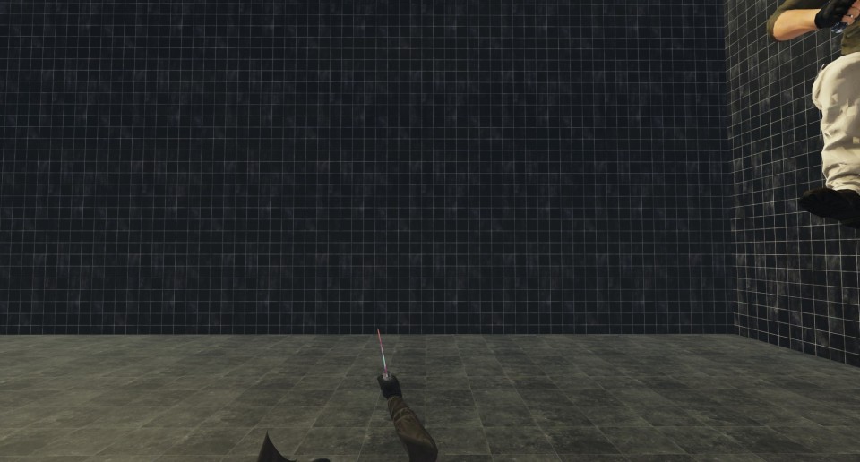 Capture 2661