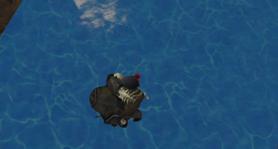 Capture 1464