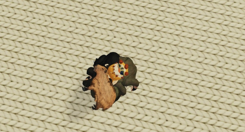 Capture 2504