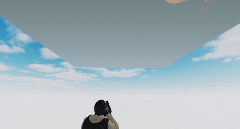 Capture 1530