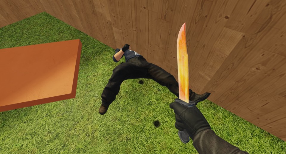 Capture 1453
