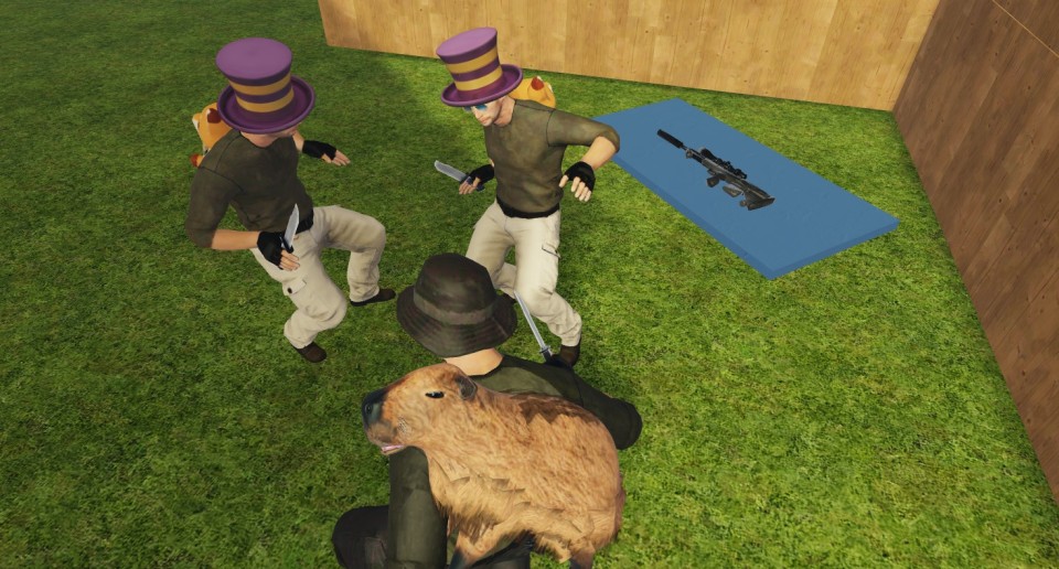 Capture 2485