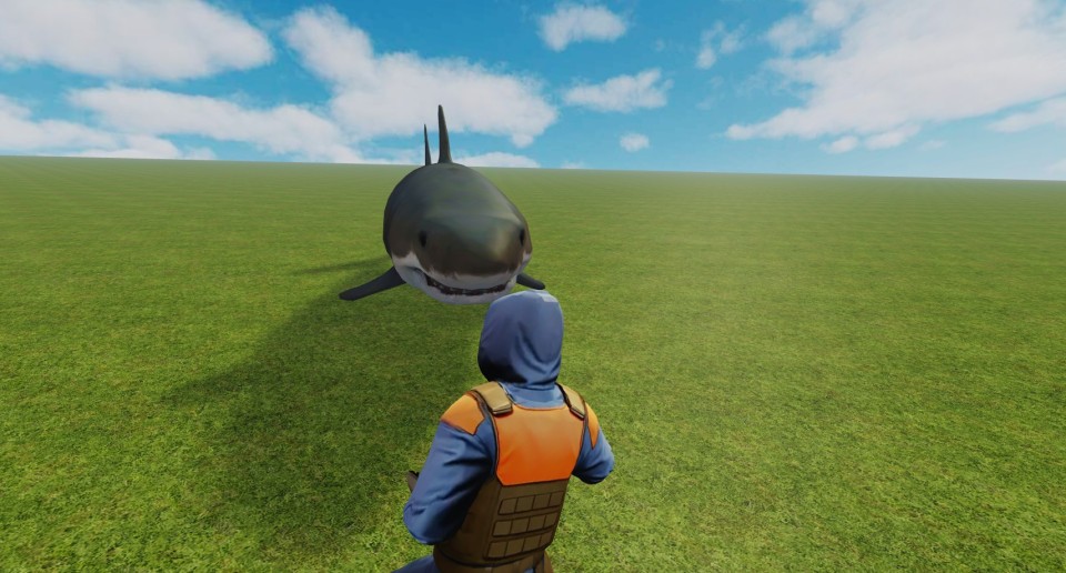 Capture 2249