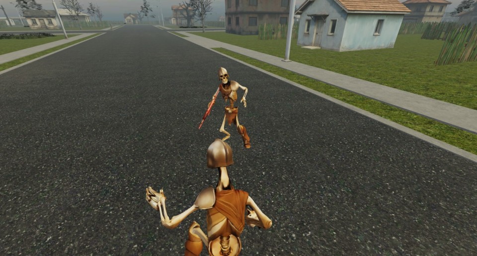 Capture 2004