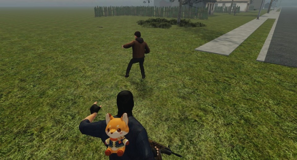 Capture 2545