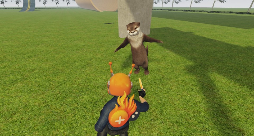 Capture 2163