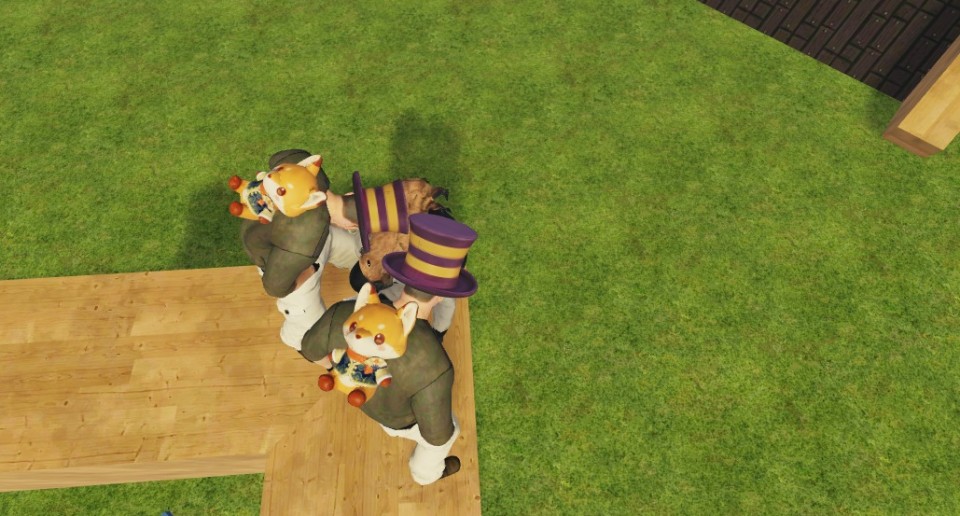 Capture 2453