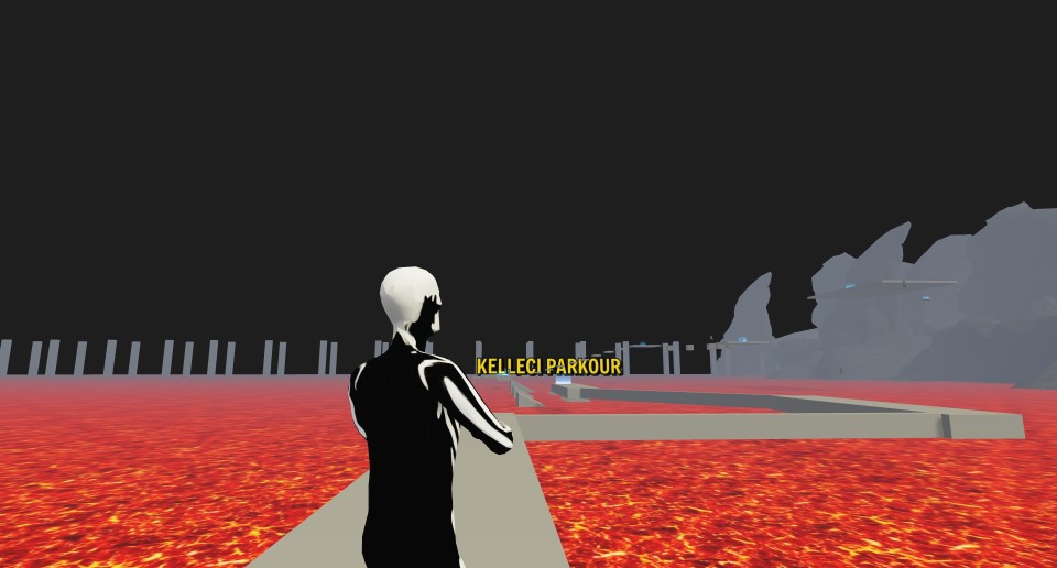 Capture 2509