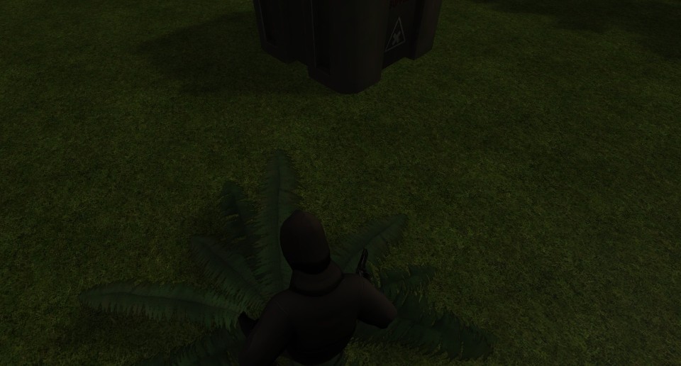 Capture 2433