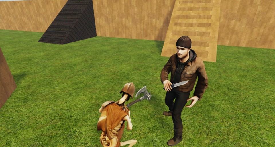 Capture 2530
