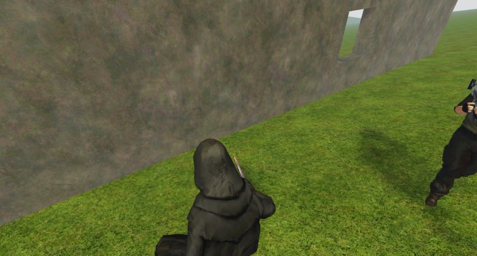 Capture 2700