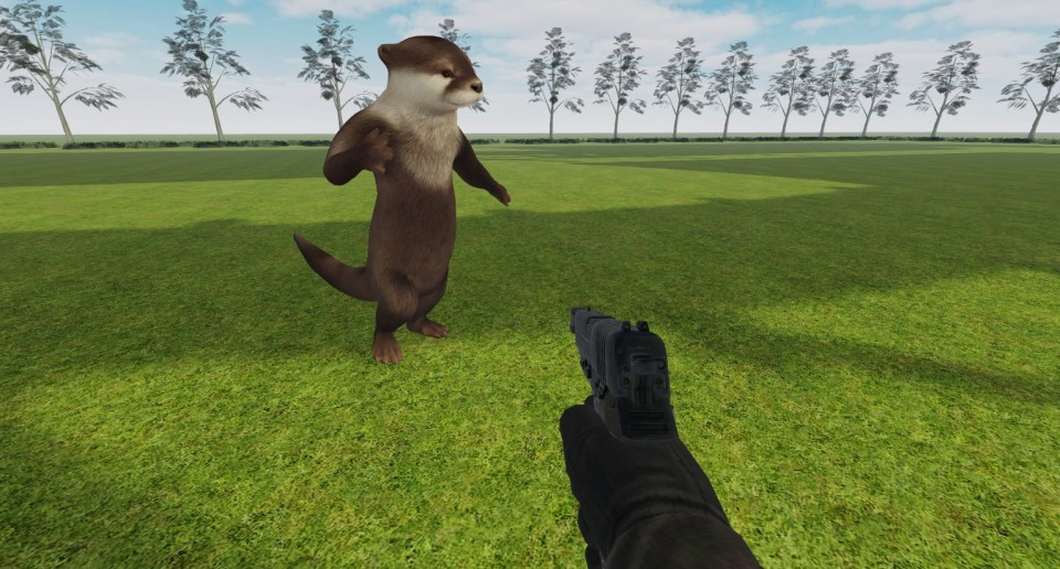 Capture 2076