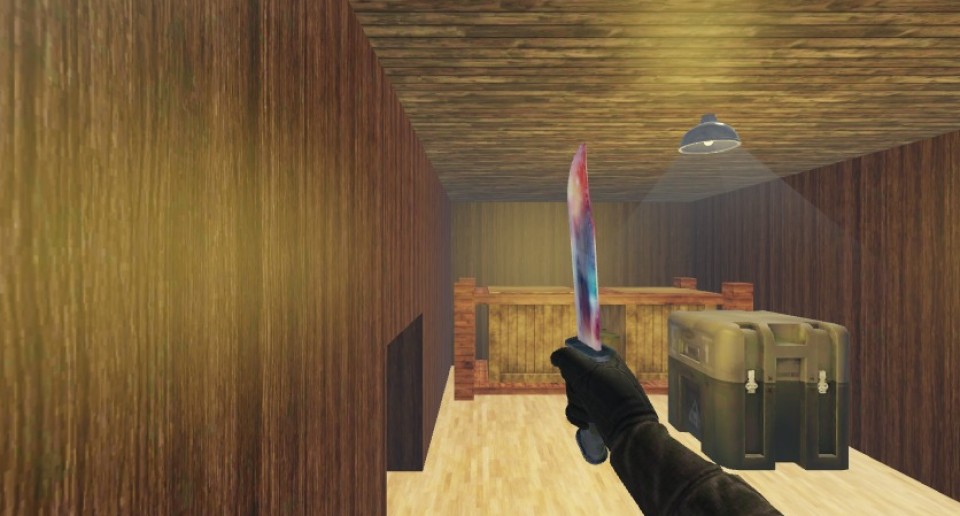 Capture 1456