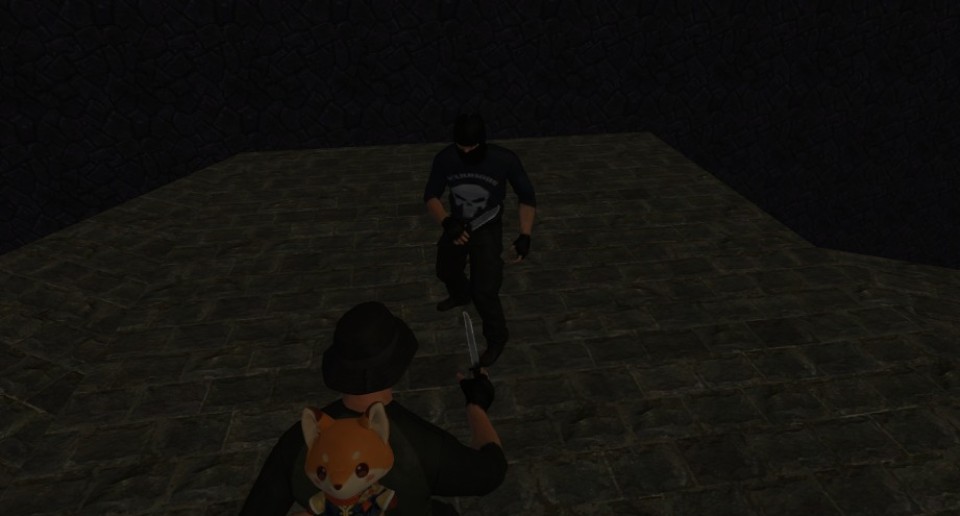 Capture 2731