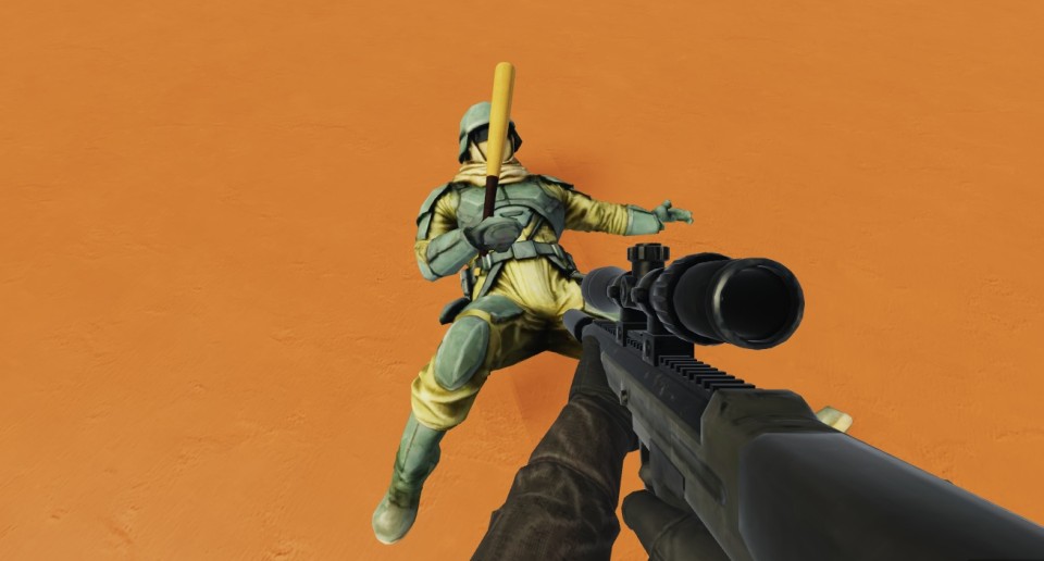 Capture 1575