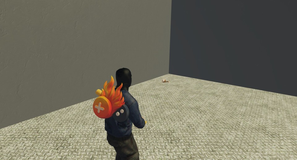 Capture 2355