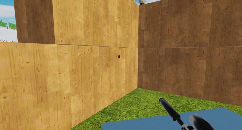 Capture 2559