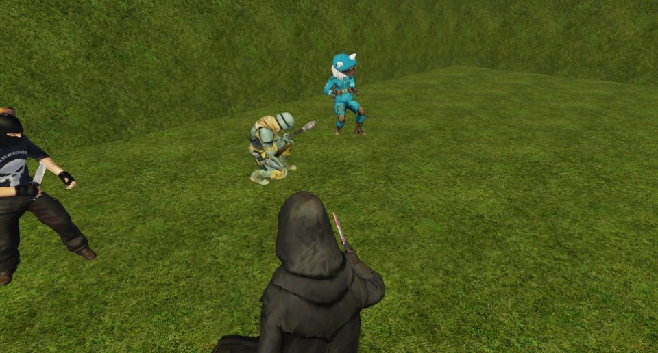 Capture 2613