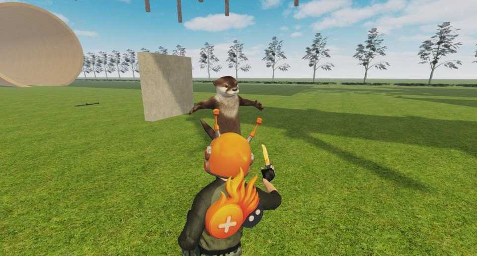 Capture 2117