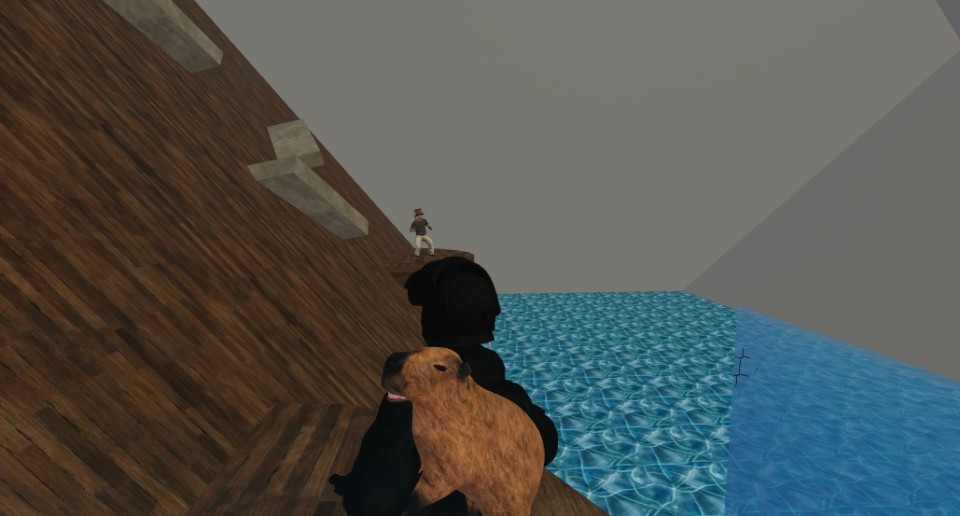 Capture 2481