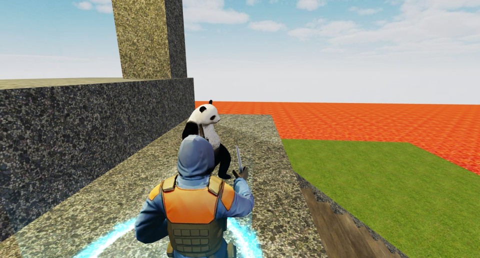 Capture 2248
