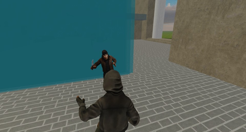 Capture 2183