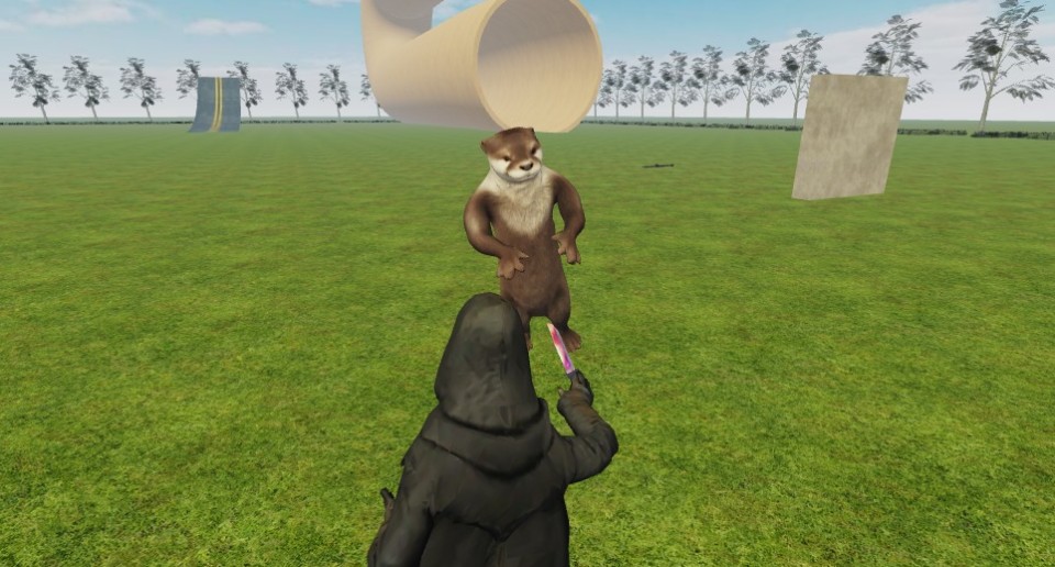 Capture 2644