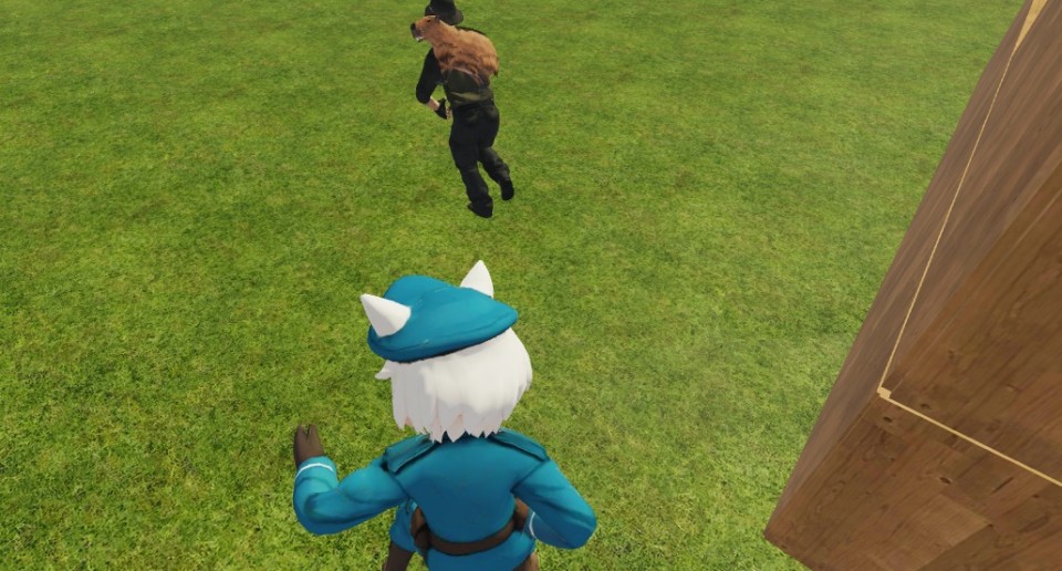 Capture 2828