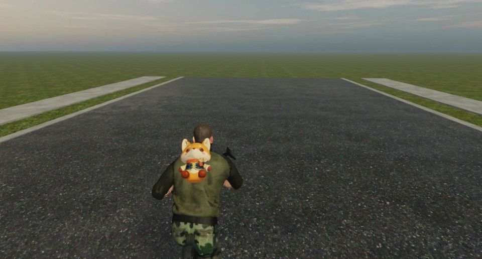 Capture 2547