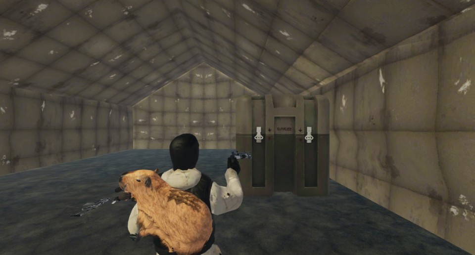 Capture 2313