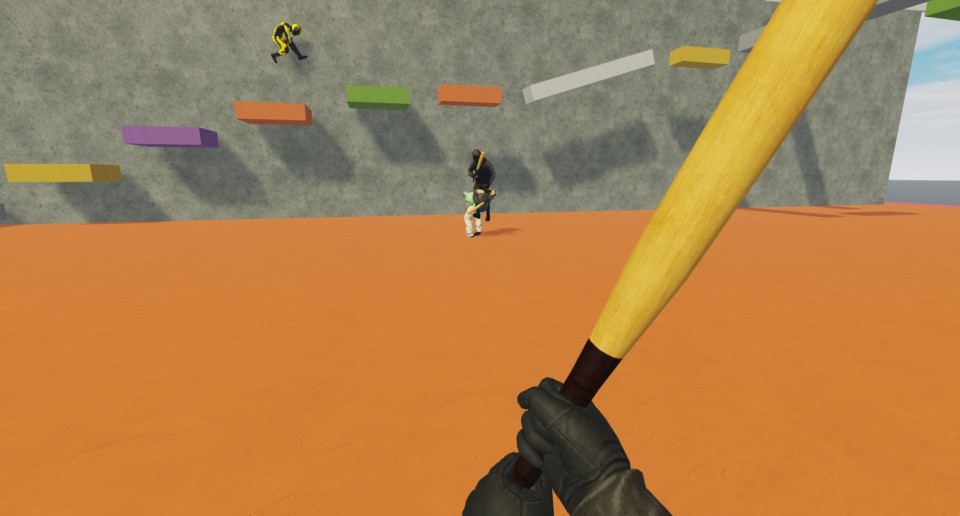 Capture 1510