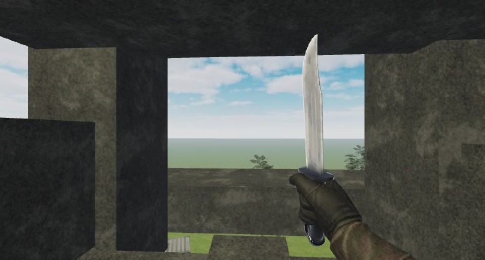 Capture 1520