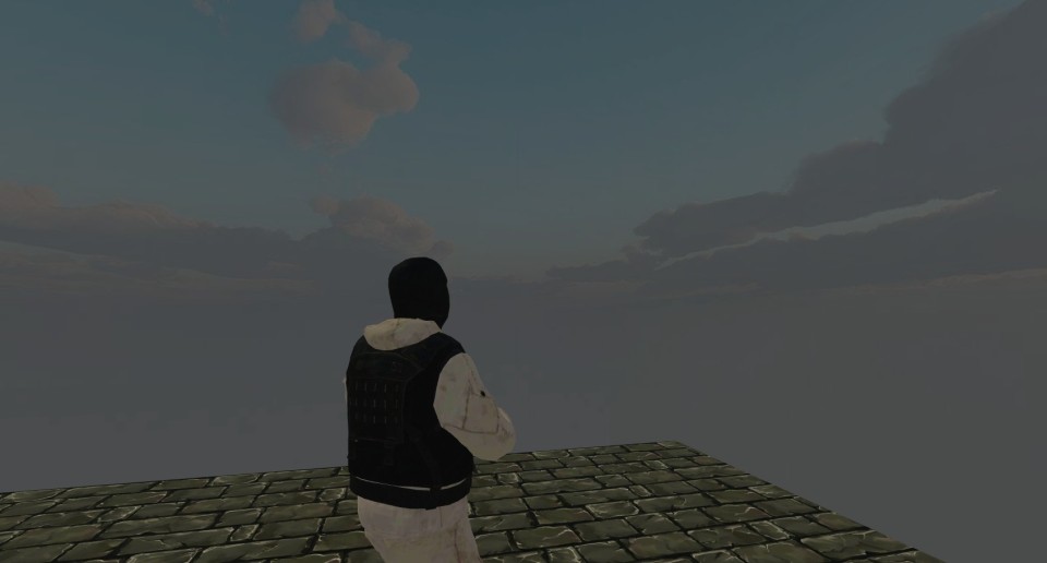 Capture 2363