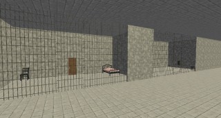 Prison Escape Puzzle