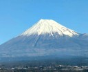 hinomori