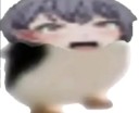 xusc