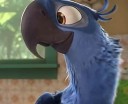 Blu