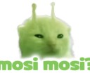 mosi mosi
