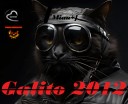 Galito 2012