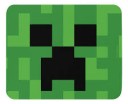 Duck10