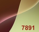X7891